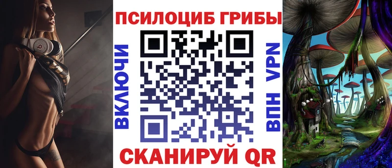 Купить закладки  Советск  Галлюциногенные грибы Magic Shrooms 